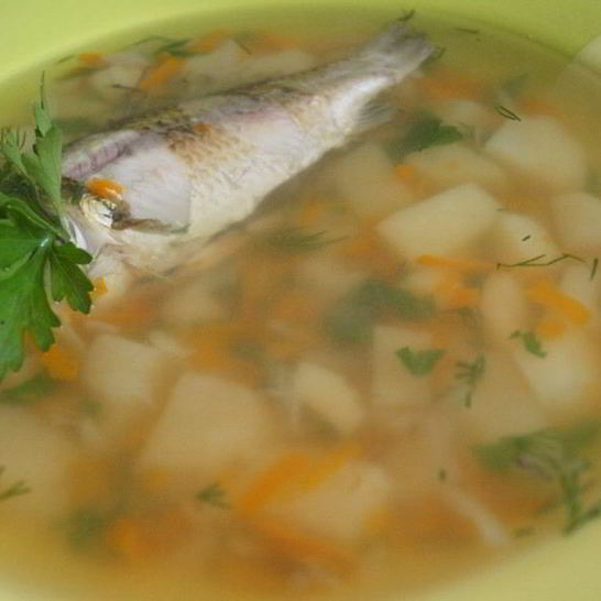Рецепт ухи из карася