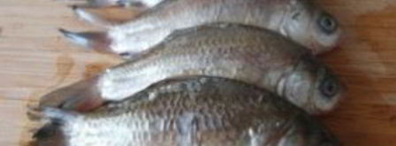 уха из карася. Шаг 4