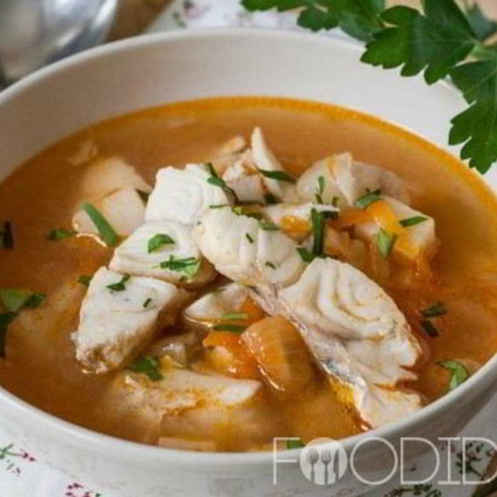 Рецепт ухи из судака