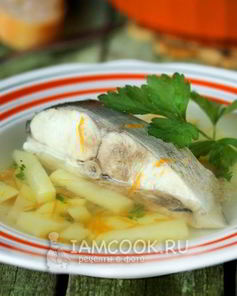 Уха из толстолобика