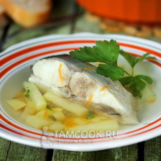 Рецепт ухи из толстолобика