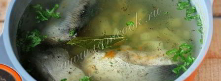 уха из толстолобика. Шаг 7