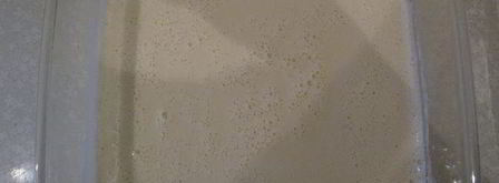 блинчики с пузырьками. Шаг 2