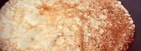 блины с вишневым соусом. Шаг 5