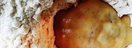 яблочные булочки. Шаг 5