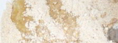 чизкейк с творогом и сгущенкой. Шаг 2