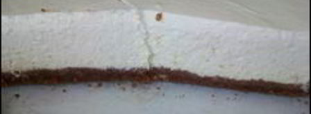 творожный чизкейк с лаймом. Шаг 16