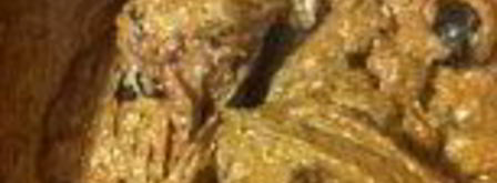 шоколадный кекс с черной смородиной. Шаг 10