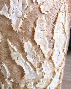 Сдобный хлеб для завтрака Древо желаний