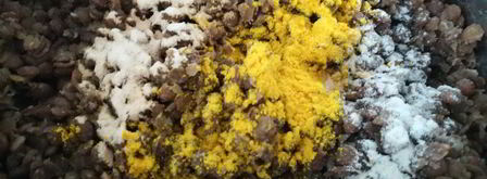 индийские лепешки паратха. Шаг 4