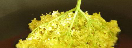 косматице оладьи из цветов черной бузины. Шаг 7