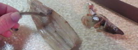 рыбные оладушки. Шаг 3