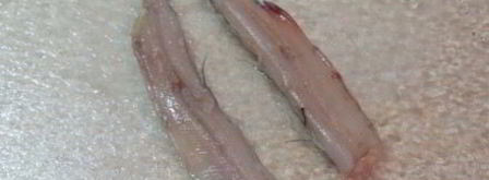 рыбные оладушки. Шаг 5