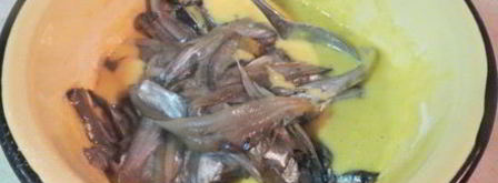 рыбные оладушки. Шаг 10