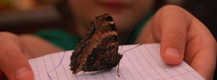 шоколадное печенье с тимьяном. Шаг 11