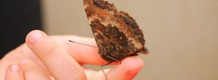 шоколадное печенье с тимьяном. Шаг 9