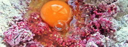 свекольно-кунжутное печенье. Шаг 7