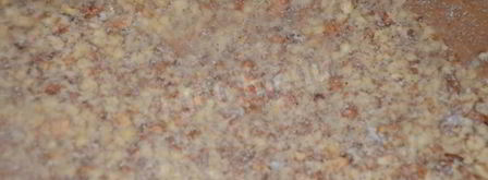 творожные рогалики с ореховой начинкой. Шаг 9