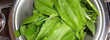 пирог со щавелем. Шаг 3