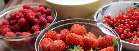 дрожжевые пирожки с ягодами в духовке. Шаг 11