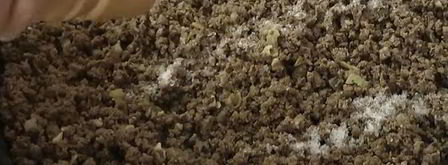 пирожки с печенью жареные. Шаг 25