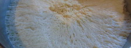 пирожки жареные. Шаг 5