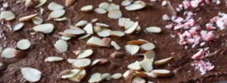 шоколадные пирожные с миндалем. Шаг 5