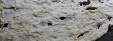 пицца с помидорами и базиликом. Шаг 4