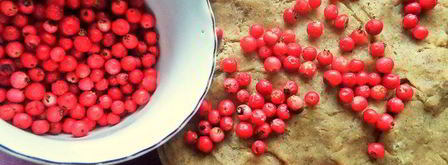 пряники с брусникой на цельнозерновой муке. Шаг 9