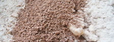 шоколадные пряники вкусные подарки. Шаг 2