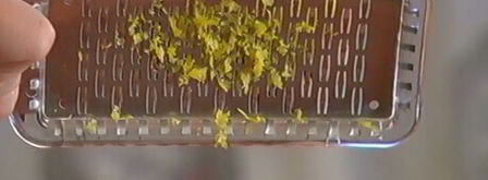 лимонные сырники с соусом из маскарпоне. Шаг 5