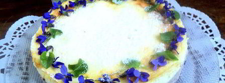 сырник с черникой фиалки. Шаг 9