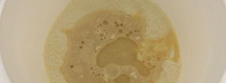 быстрое дрожжевое тесто для пиццы и лепешек. Шаг 2