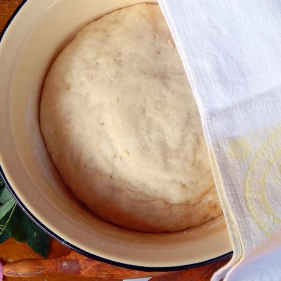 Рецепт дрожжевого теста на лепешки