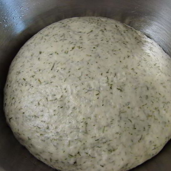 Рецепт теста для пиццы с укропом на воде