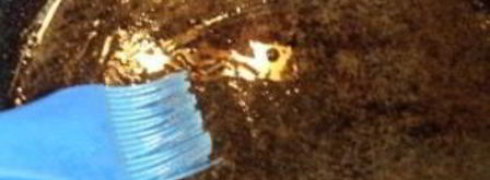 тесто для тонких блинчиков. Шаг 6