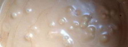 армянский торт микадо. Шаг 5