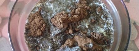 черемуховый торт. Шаг 2