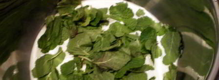 маковый торт с шоколадом и мятой. Шаг 13