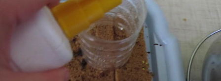 торт тачка. Шаг 6