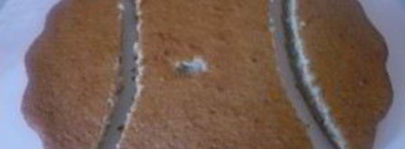 торт зайка. Шаг 2