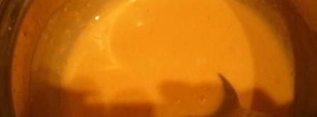 яблочный торт с карамельным баварским муссом. Шаг 17