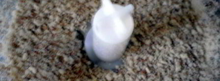 яблочный торт с карамельным баварским муссом. Шаг 6