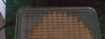 хрустящие вафельные трубочки. Шаг 6