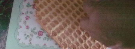 хрустящие вафельные трубочки. Шаг 7