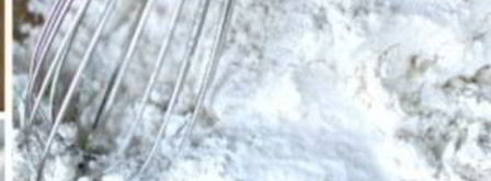 вафли с беконом. Шаг 2