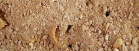 французская запеканка. Шаг 16