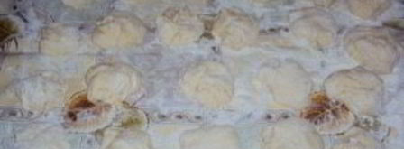 булочки с джемом из дрожжевого теста. Шаг 2