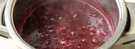 джем из яблок и кизила. Шаг 11