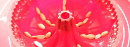 гугельхопф с джемом, миндалем и клюквой. Шаг 7